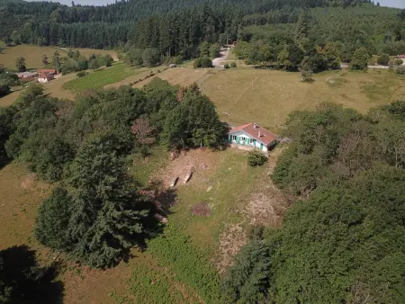 Gîte chalet autrichien avec cheminée et animaux acceptés - Photo 22