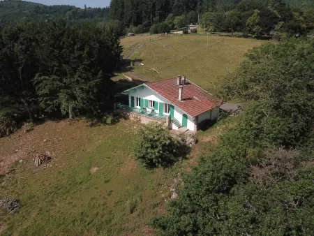 Gîte chalet autrichien avec cheminée et animaux acceptés - Photo 23