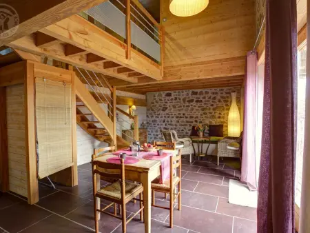 Maison écogîte avec vue campagne - 11 pers., Gite 11 personnes à Saint Romain d'Urfé - Photo 3