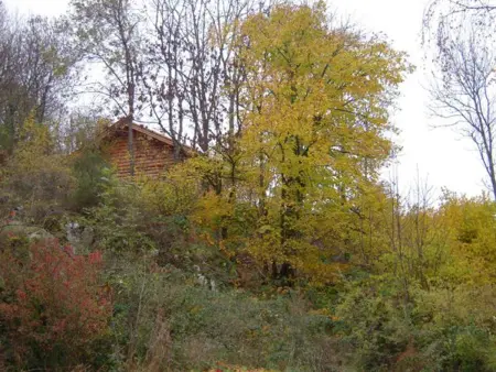 Chalet rustique avec poêle à bois - 3 pers, animaux admis - Photo 13