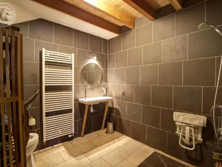 Écogîte confortable proche St-Etienne et Lyon, Gite 7 personnes à Saint Romain d'Urfé - Photo 8