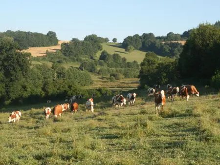 Écogîte confortable proche St-Etienne et Lyon, Gite 7 personnes à Saint Romain d'Urfé - Photo 15