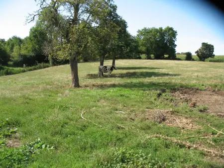 Maison de Bourg Avec Jardin et Wifi - Bures, Gite 6 personnes à Bures - Photo 28
