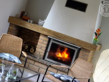 Maison lumineuse avec jardin clos et cheminée, idéale pour familles et amis - Photo 6