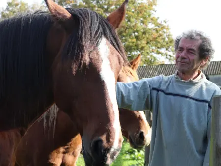 Roulotte spacieuse au cœur d'Ecouves - Animaux acceptés - Photo 13