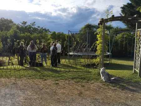 Maison spacieuse avec jardin, terrasse, jeux pour enfants, dégustation de champagne et parking clos - Photo 19