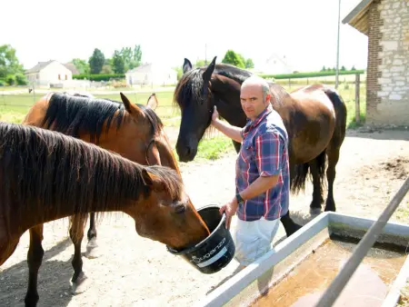 Gîte de Charme avec Jardin, Animaux Acceptés, Parking - Photo 15