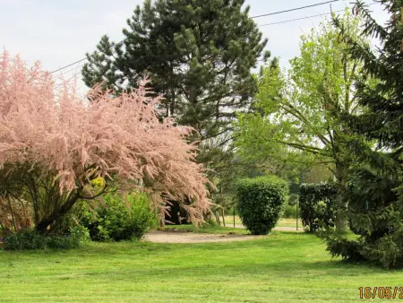 Maison de campagne paisible avec jardin clos et activités familiales - Photo 15