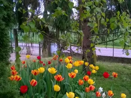 Maison de campagne paisible avec jardin clos et activités familiales - Photo 16