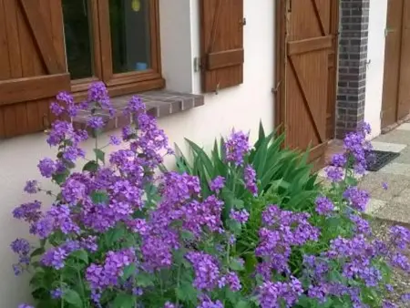 Maison de campagne paisible avec jardin clos et activités familiales - Photo 17