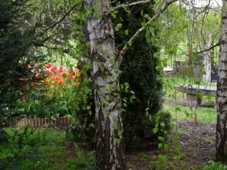 Maison de campagne paisible avec jardin clos et activités familiales - Photo 18