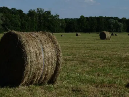 Maison de campagne paisible avec jardin clos et activités familiales - Photo 19