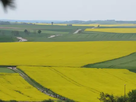 Maison de campagne paisible avec jardin clos et activités familiales - Photo 21