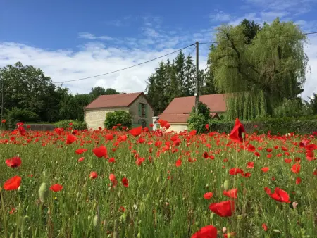 Gîte Charmant au Coeur de la Champagne avec Jardin, Cheminée et Terrasse - Photo 15