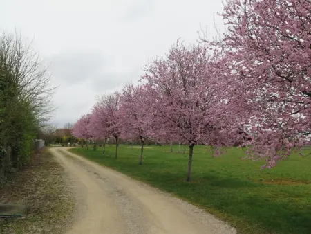 Maison bois chaleureux, animaux admis, wifi, parking, jardin, activités nature - Photo 16