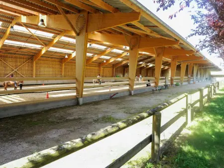 Maison bois chaleureux, animaux admis, wifi, parking, jardin, activités nature - Photo 17