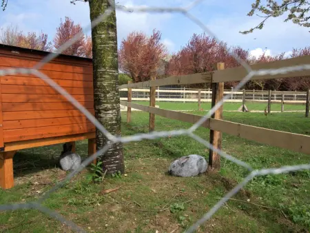 Maison bois chaleureux, animaux admis, wifi, parking, jardin, activités nature - Photo 22
