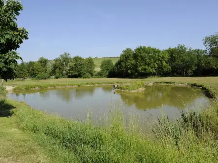 Gîte de charme au cœur du vignoble avec parc Nigloland à proximité, idéal famille et animaux accueillis - Photo 11