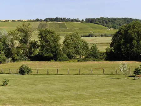 Gîte de charme au cœur du vignoble avec parc Nigloland à proximité, idéal famille et animaux accueillis - Photo 12