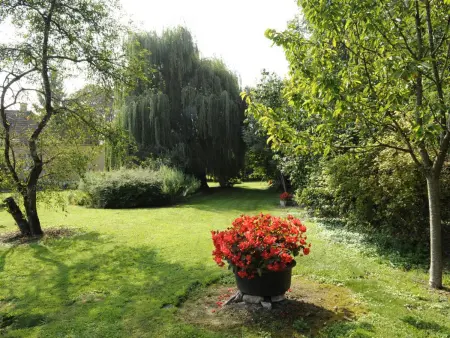 Gîte confortable avec jardin, proche de Troyes, internet inclus - Photo 3