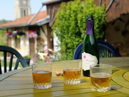 Gîte Confortable avec Jardin et Activités Proches de Troyes - Photo 16