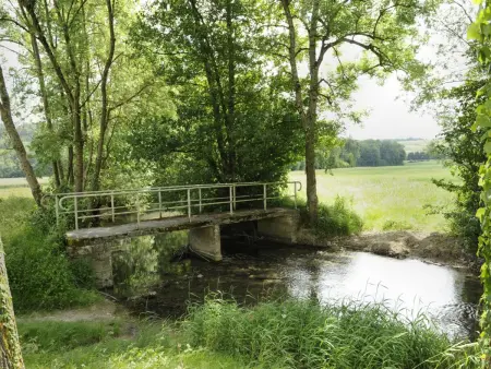 Gîte 4 pers avec rivière, terrasse, dégustation de champagne, proche Nigloland et Troyes - Photo 10