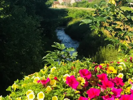 Gîte du Pommerat à Villenauxe-la-Grande avec Wifi, parking et animaux acceptés - Photo 16