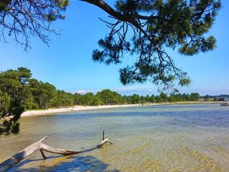 Maison Calme avec Jardin, Proche Lac et Centre, Animaux Bienvenus, Ménage Inclus - Photo 19