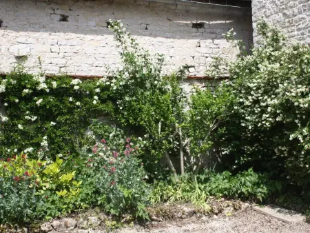 Charmant gîte avec jardin et WIFI au cœur du vignoble aubois - Photo 23
