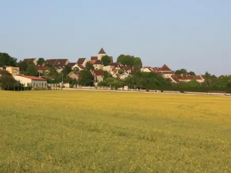 Charmant gîte avec jardin et WIFI au cœur du vignoble aubois - Photo 24
