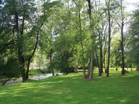 Charmant gîte avec jardin et WIFI au cœur du vignoble aubois - Photo 28