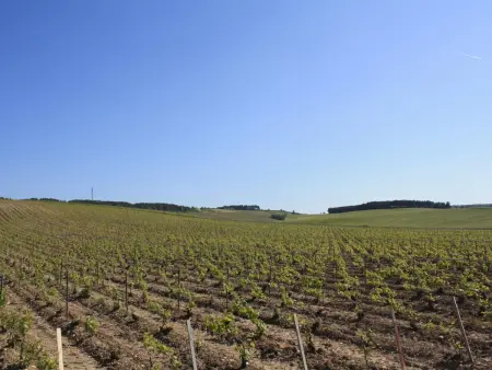 Charmant gîte avec jardin et WIFI au cœur du vignoble aubois - Photo 30