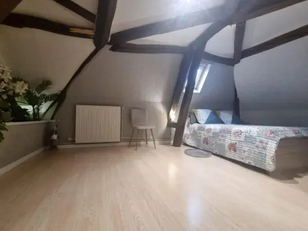 Gîte familial à Neuville-sur-Vanne, avec jardin et parking - Photo 4