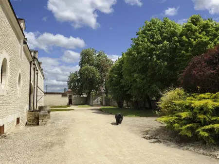 Maison de pays avec jardin clos - Les Riceys, Gite 6 personnes à Les Riceys - Photo 1