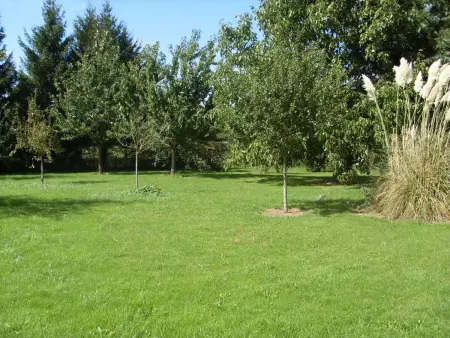 Gîte de charme à Cussangy avec wifi, parking, visite de champignonnière, idéal pour familles - Photo 15