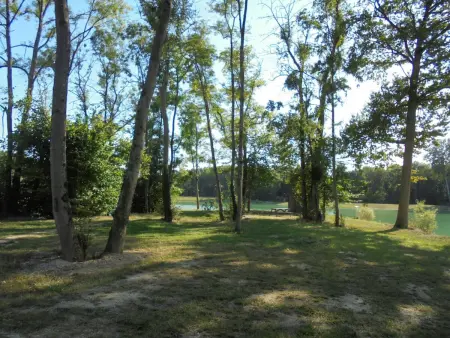 Gîte charmant avec jardin clos, animaux admis, près de Romilly-sur-Seine - Photo 23