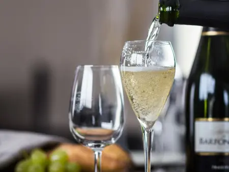 Maison climatisée avec 5 chambres et parking au cœur du vignoble champenois - Photo 4