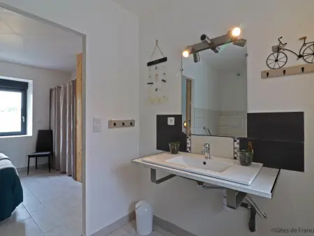 Grande maison familiale avec sauna et jardin, Gite 14 personnes à Rives d'Andaine - Photo 13