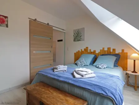 Grande maison familiale avec sauna et jardin, Gite 14 personnes à Rives d'Andaine - Photo 20