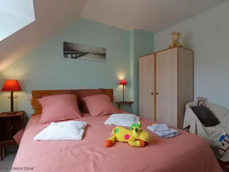 Grande maison familiale avec sauna et jardin, Gite 14 personnes à Rives d'Andaine - Photo 32