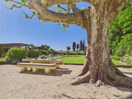 Magnifique Mas Provençal avec Piscine à Eygalières - 19 Couchages, 8 Chambres, Billard, et Plus ! - Photo 5
