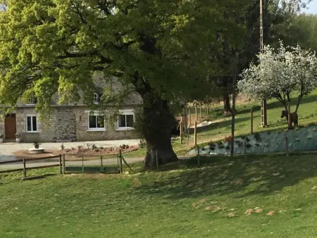 Maison de charme avec jardin aux portes de Bagnoles - Photo 24