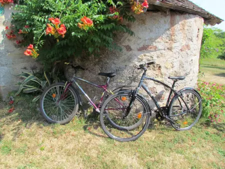Maison à Hautefort avec clim, vélos gratuits, animaux admis - Photo 4