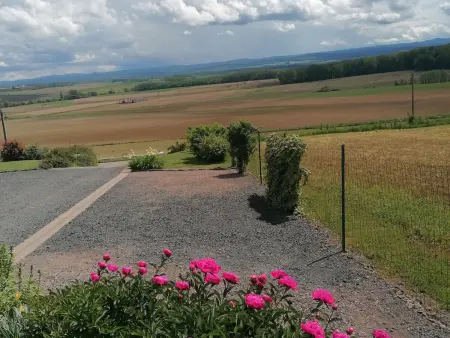 Chalet cosy avec jardin, parking et recharge VE aux portes des Vosges - Photo 27