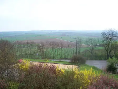 Voici une suggestion de titre :

Gîte charmant près de Nancy avec climatisation, WiFi, barbecue et parking privé - Photo 22