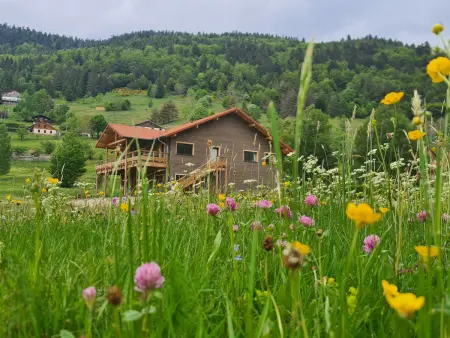 Gîte 4 étoiles à La Bresse, grand confort, proche station ski - Photo 1