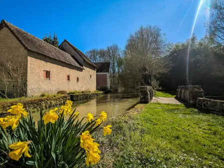 Moulin paisible en Berry avec étang privé, proche du Château de Valençay et Zoo de Beauval - Photo 12