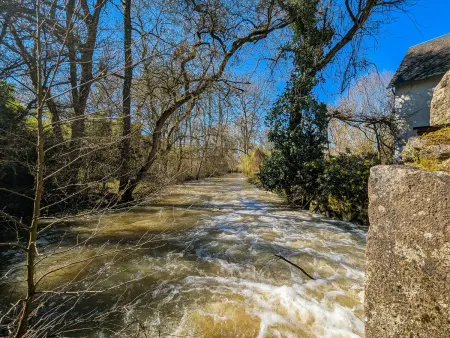 Moulin paisible en Berry avec étang privé, proche du Château de Valençay et Zoo de Beauval - Photo 13