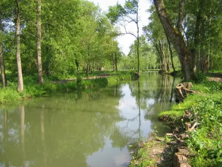 Moulin paisible en Berry avec étang privé, proche du Château de Valençay et Zoo de Beauval - Photo 33