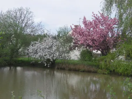 Gîte en Sologne proche Val de Loire, jardin privatif - Photo 16